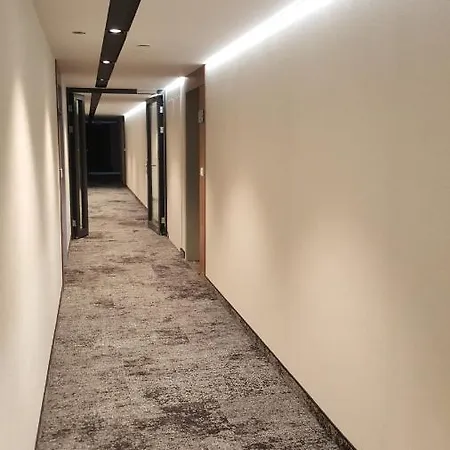 Bel Mare D 411 公寓 米兹多洛杰