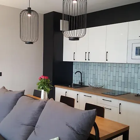 公寓 Bel Mare D 411 米兹多洛杰